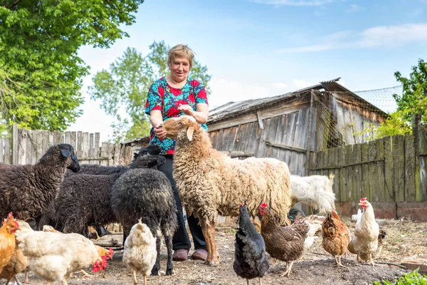 Mulher em sua fazenda de ovelhas, animais — Fotografia de Stock