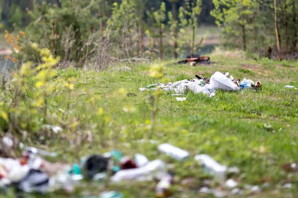 森の中のゴミ捨て場 — ストック写真