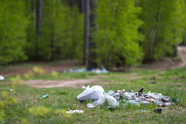 Soptipp i skogen — Stockfoto