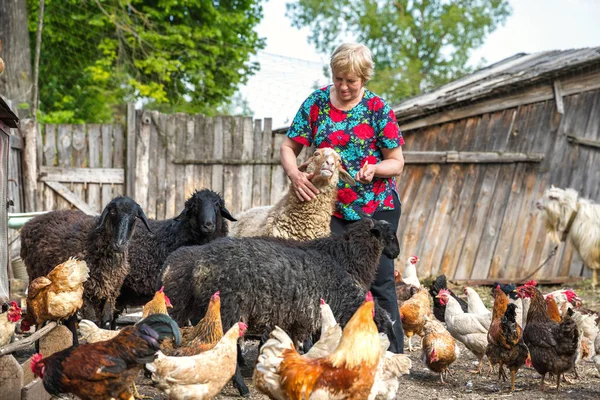 Mujer en su granja de ovejas, animales — Foto de Stock