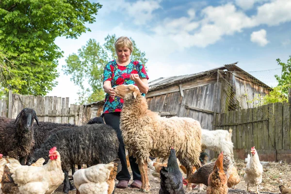 在她的养羊场、 动物和自然的女人 — 图库照片