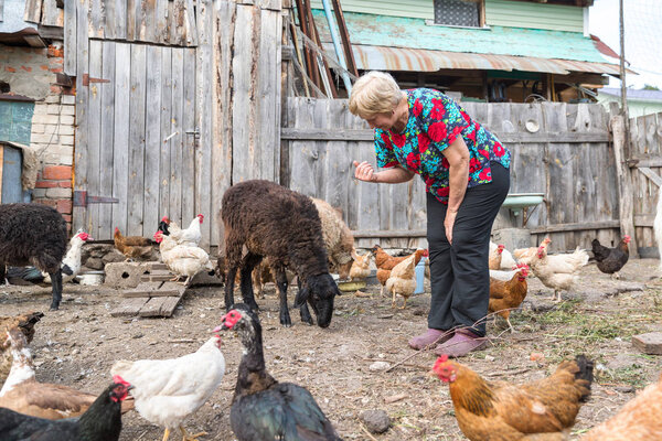 Woman at her sheep farm, animals