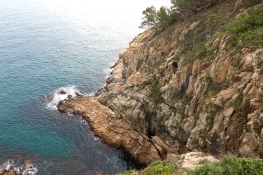 vahşi güzel sahil şeridi