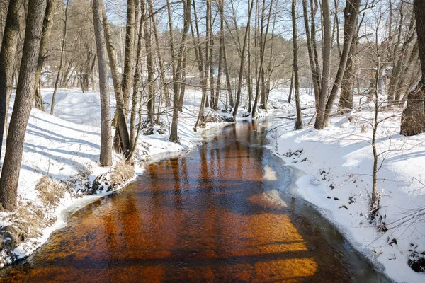 Paesaggio invernale fiume — Foto Stock