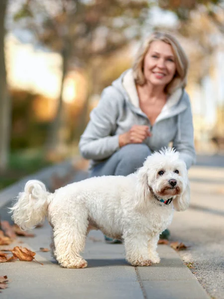 Femme âgée avec un chien à l'extérieur. Focus sur le chien . — Photo