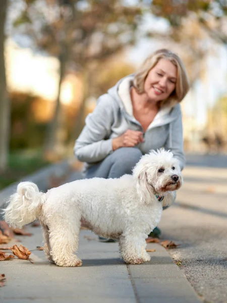 Femme âgée avec un chien à l'extérieur. Focus sur le chien . — Photo