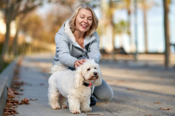 Femme âgée avec un chien à l'extérieur. Focus sur le chien . — Photo
