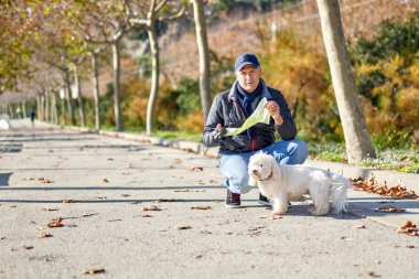 Beyaz adam küçük köpek parkında yürüyor