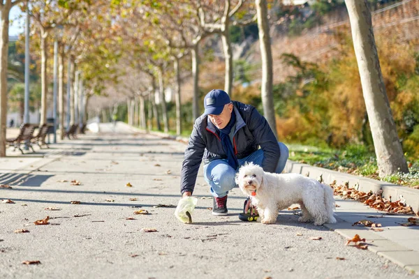 Власник прибирає після собаки з пластиковим пакетом — стокове фото