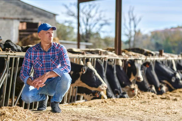 Granjero en granja con vaca lechera — Foto de Stock