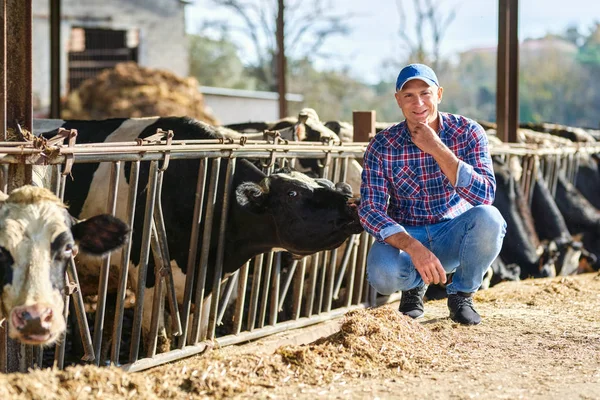 Farmer férfi a gazdaságban tejelő tehénnel — Stock Fotó