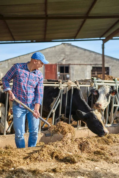 Ritratto di un uomo nei ranch di bestiame . — Foto Stock