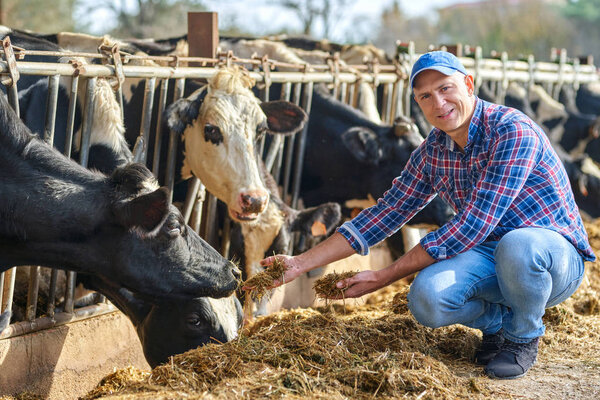 портрет человека на ранчо для скота
.