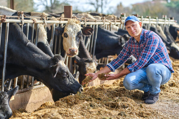 портрет человека на ранчо для скота
.