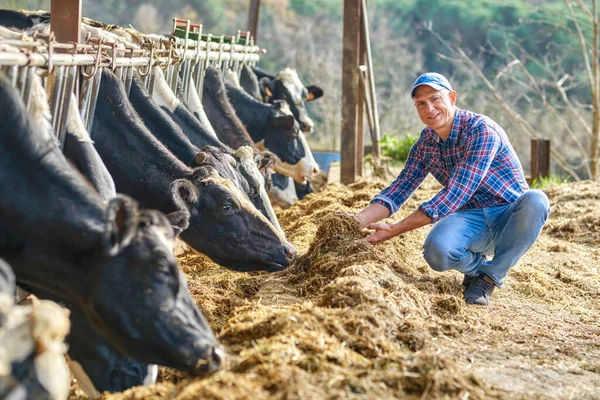 A tanyákon állatállomány férfi képmása. — Stock Fotó