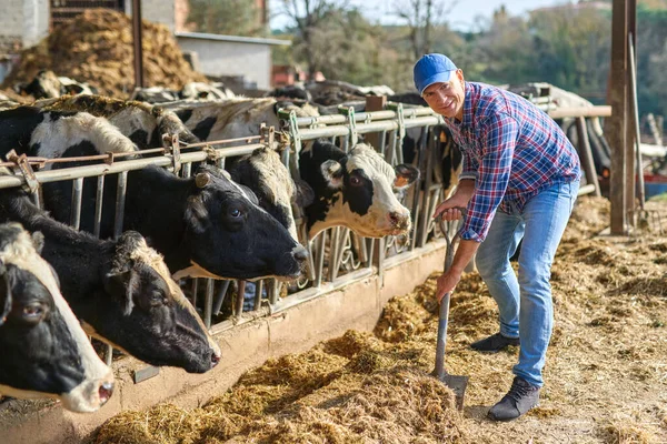 Hayvancılık çiftliklerde bir adam portresi. — Stok fotoğraf