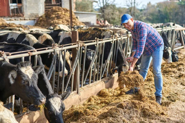 Az ember állattenyésztő farmokon dolgozik.. — Stock Fotó