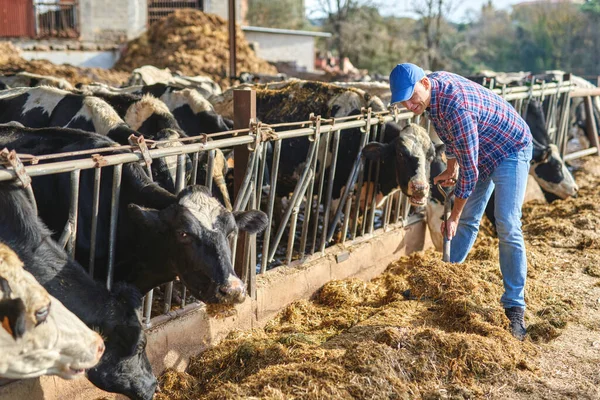 Portrait of a man on livestock ranches. — Stock Photo, Image