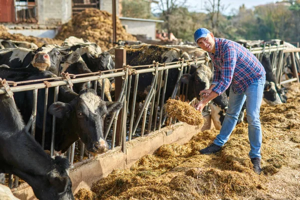 Portrét muže na dobytka ranče. — Stock fotografie