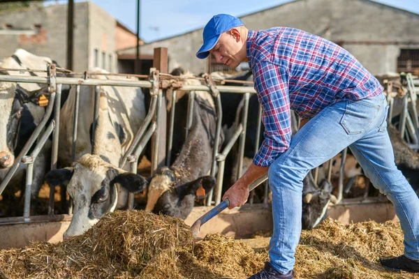 Portrait of a man on livestock ranches. — Stock Photo, Image