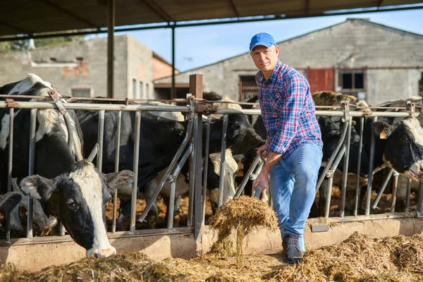 A tanyákon állatállomány férfi képmása. — Stock Fotó