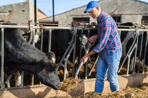 портрет человека на ранчо для скота
.