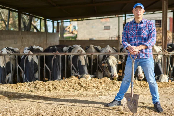 Egy ember portréja az állattenyésztő farmokon lapáttal. — Stock Fotó