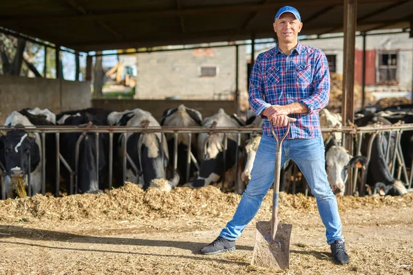 Retrato de um homem em fazendas de gado com uma pá . — Fotografia de Stock