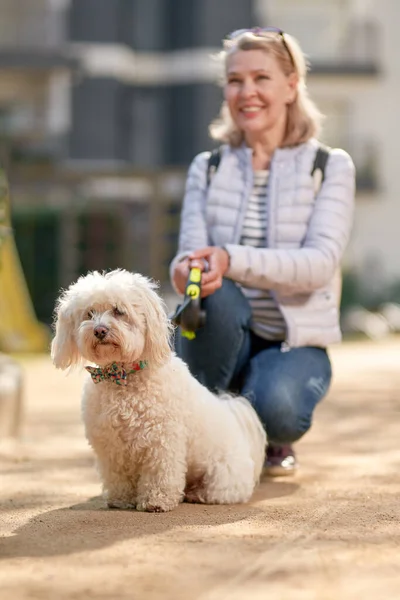 Çekici orta yaşlı sarışın kadın yaz şehrinde köpekle yürüyor. — Stok fotoğraf