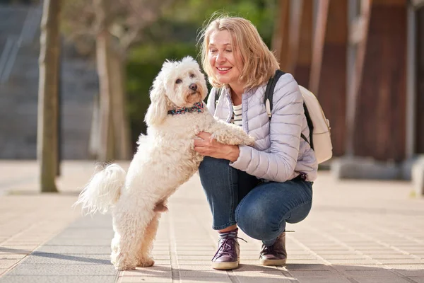 Yetişkin sarışın kadın yaz şehrinde tüylü beyaz köpekle yürüyor. — Stok fotoğraf