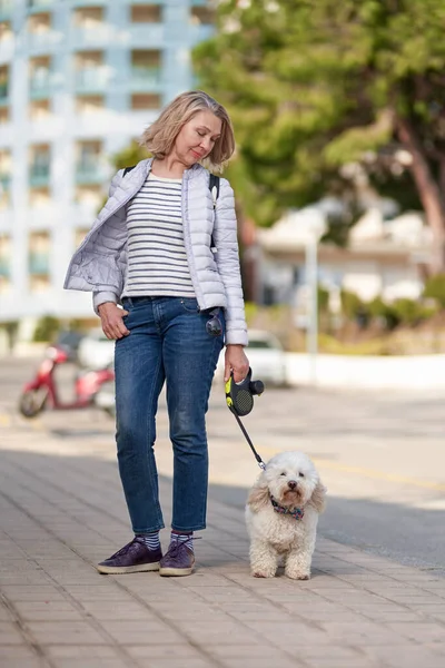 Äldre pensionär kvinna promenad park vit liten hund — Stockfoto