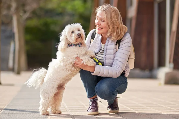 Äldre pensionär kvinna promenad park vit liten hund — Stockfoto