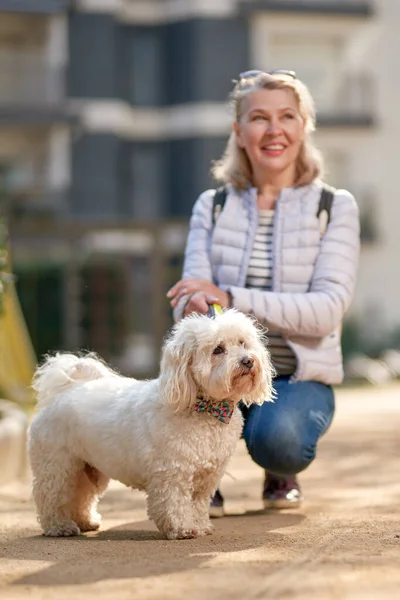 Atractiva mujer rubia de mediana edad paseando con el perro en la ciudad de verano — Foto de Stock