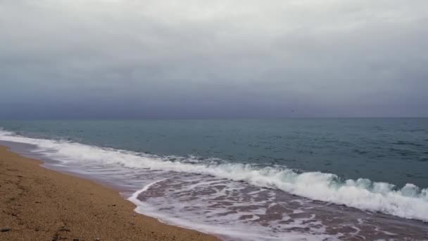 Cloudy horizon and Fog over the sea waves — Stock Video