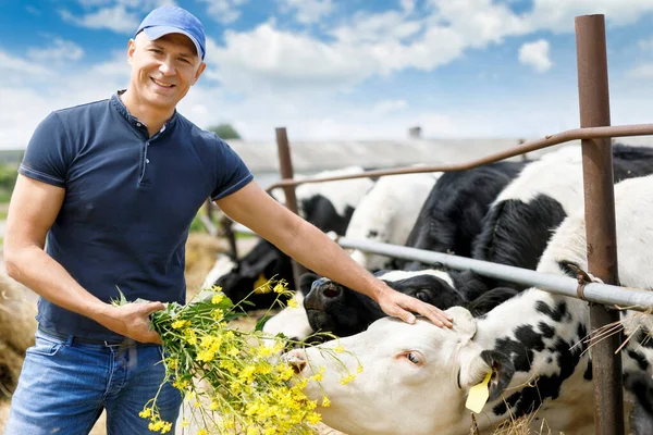 Retrato de un agricultor positivo con una vaca en un rancho — Foto de Stock