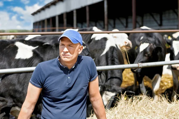 Portrait of a sad farmer near cows on a ranch — Stock Photo, Image