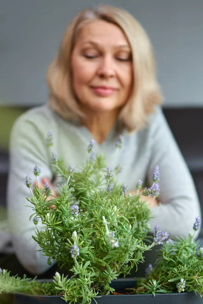 Mulher Madura Cuidar Casa Flowers Flower Plantas Casa — Fotografia de Stock