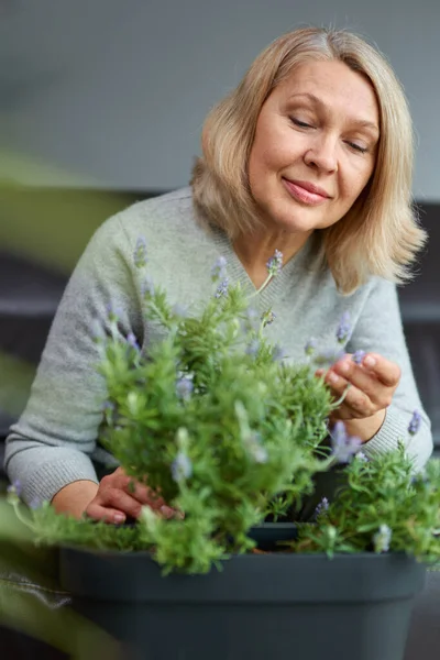 Mature Woman Caring Home Flowers Flower Plants House — Stock Photo, Image