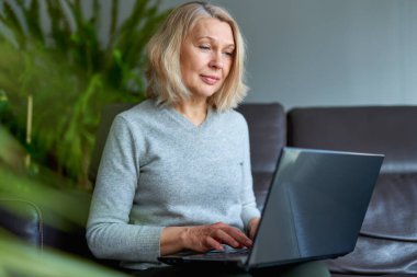 Ciddi bir kadın internette e-posta haberlerini kontrol ediyor kanepeye oturuyor, internette arkadaş arıyor ya da bilgisayarda çalışıyor, blog yazıyor ya da webinar izliyor.