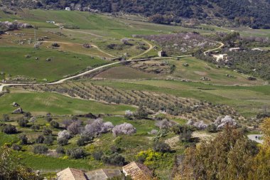 Ronda 'dan Majestic manzarası