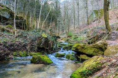 Lüksemburg, Mullerthal Trail nehri boyunca yürüyüş