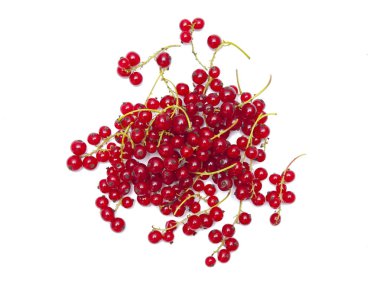 Beyaz arkaplanda kırmızı frenk üzümü izole edildi