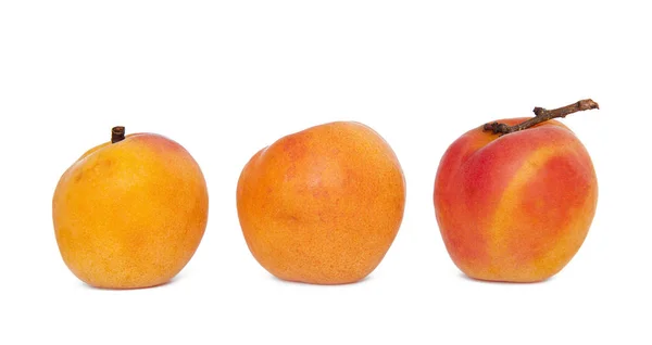 Trois nectarines isolées sur fond blanc — Photo