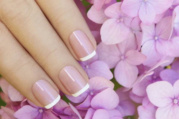 Short pink lilac French manicure — Stock Photo, Image