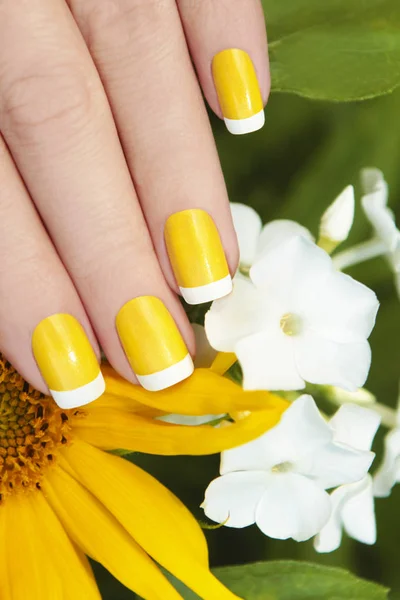 Short yellow French manicure. — Stock Photo, Image