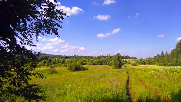 Beau paysage rural d'été . — Photo