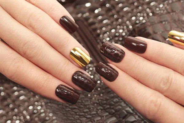 Glamorous luxurious brown crocodile manicure. — Stock Photo, Image