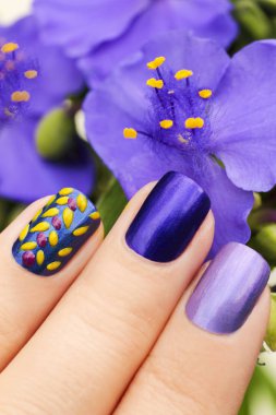 Renkli mavi manikür.