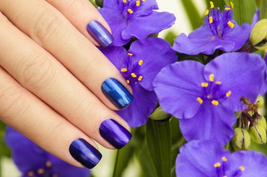 Renkli mavi manikür.