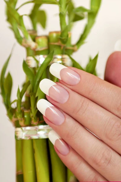 Oval long French manicure. — Stock Photo, Image